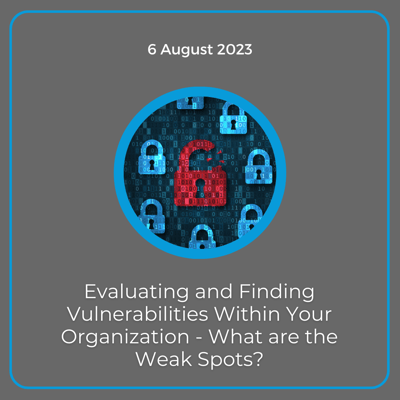 Evaluating and Finding Vulnerabilities Article