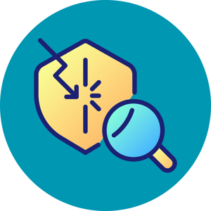 Penetration Testing