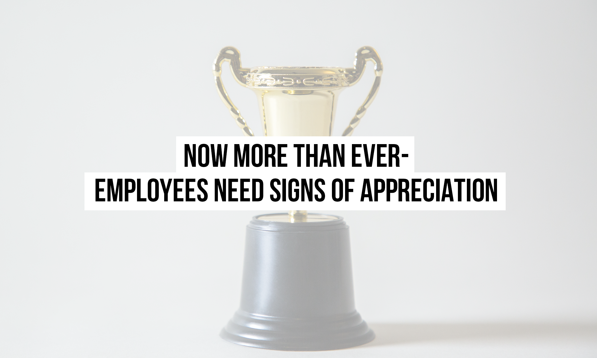 Signs of Appreciation